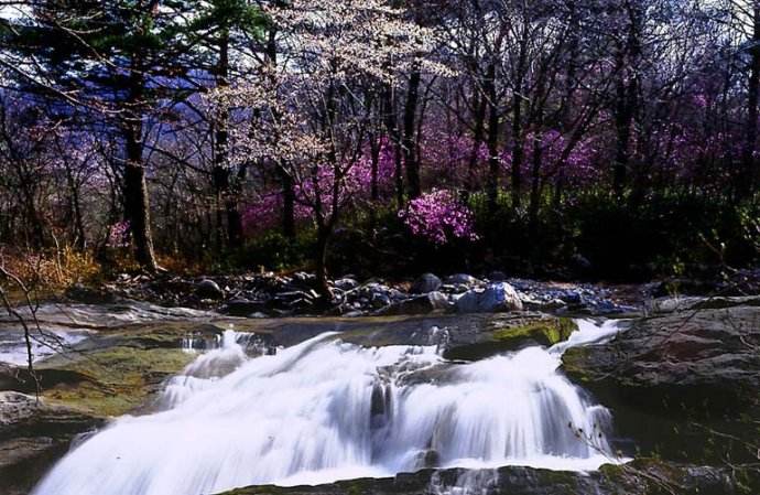 隐隐飞桥隔野烟,石矶西畔向渔船。桃花尽日随流水,洞在清溪何处边?